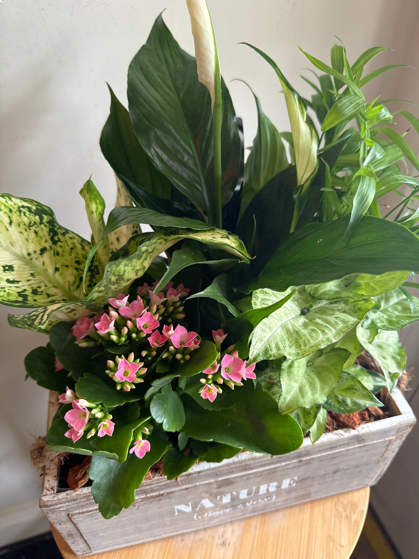 Wood Crate Indoor Planter
