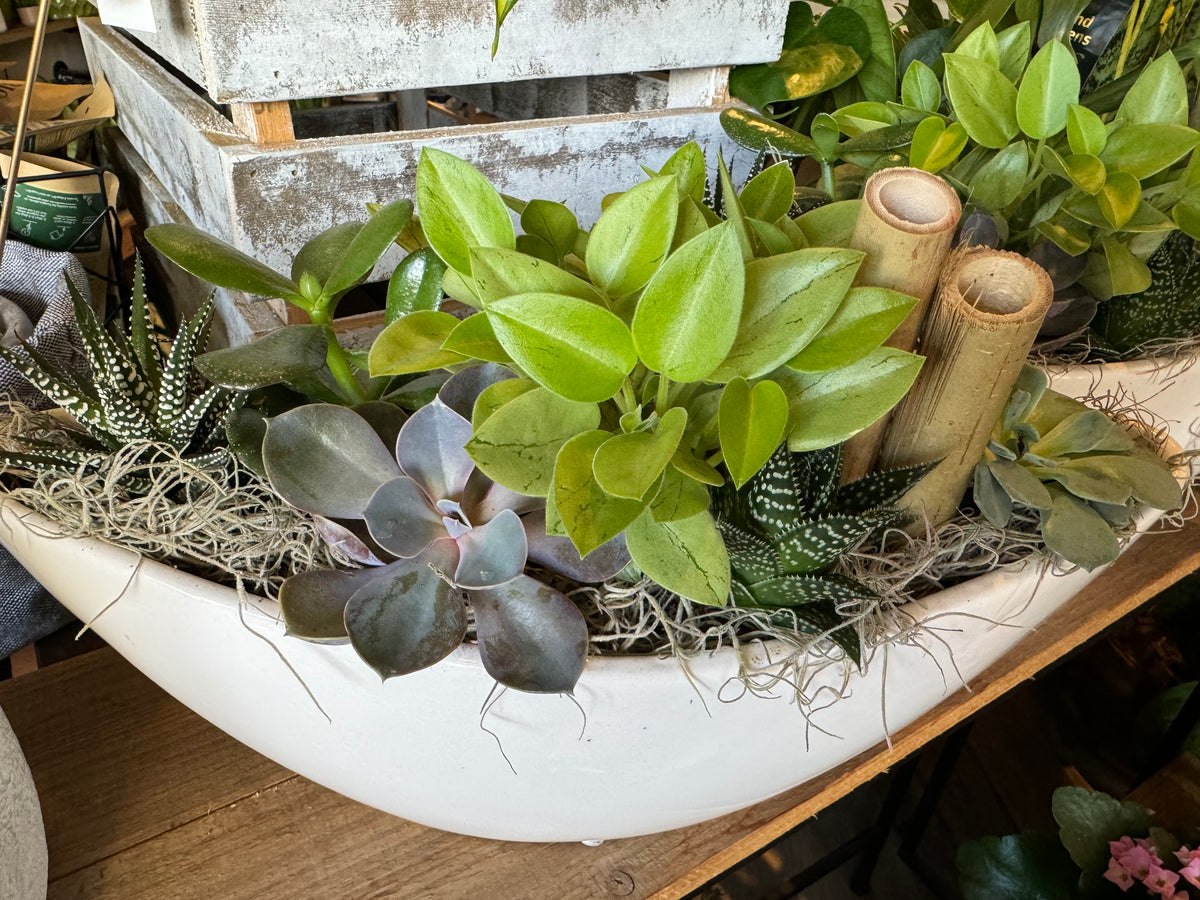 Succulent Planter