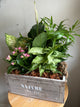 Wood Crate Indoor Planter