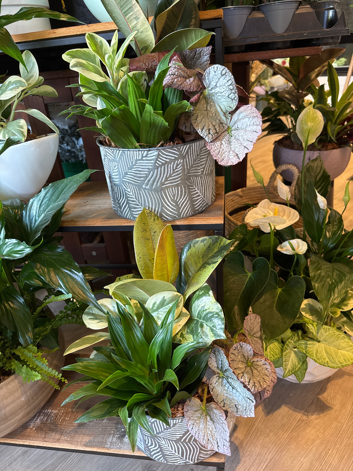 Medium Assorted Garden Planter