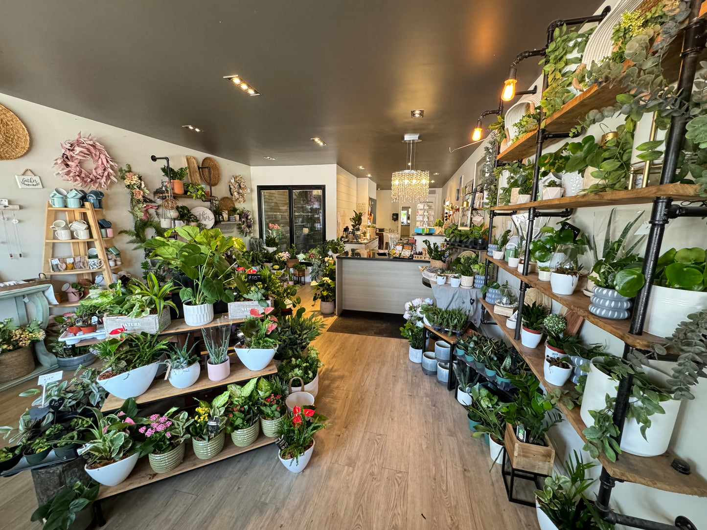 Indoor Planter