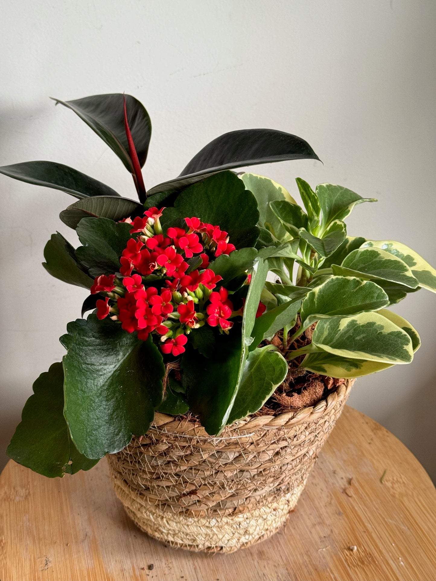 Small Wicker Basket Indoor Planter