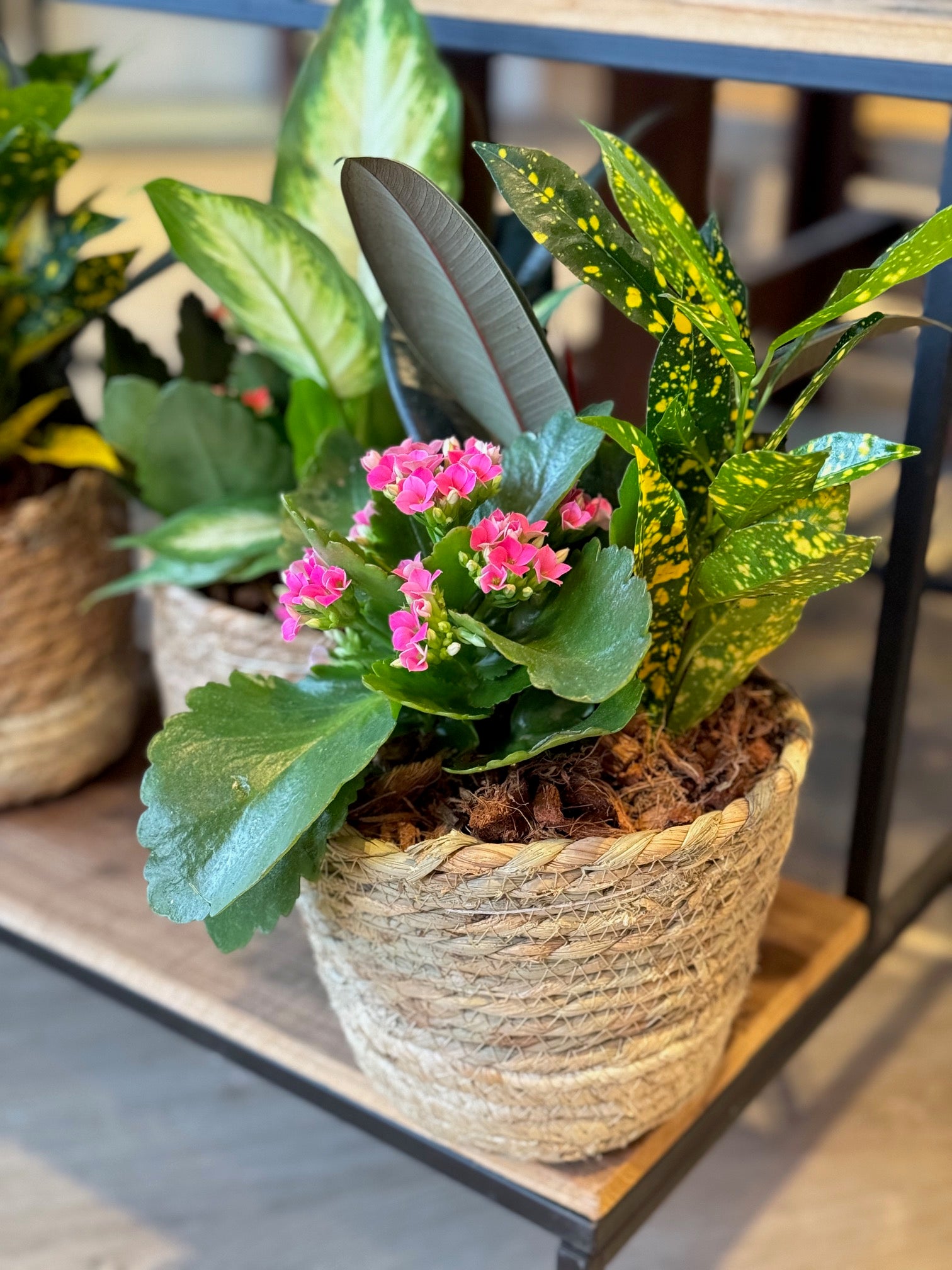 Small Indoor Planter in Rattan Basket – Elora St. Flowers