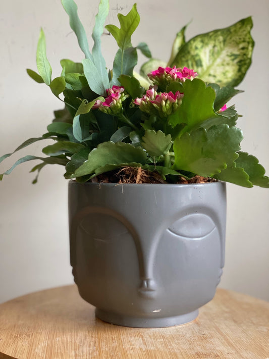 Grey Face Pot Planter