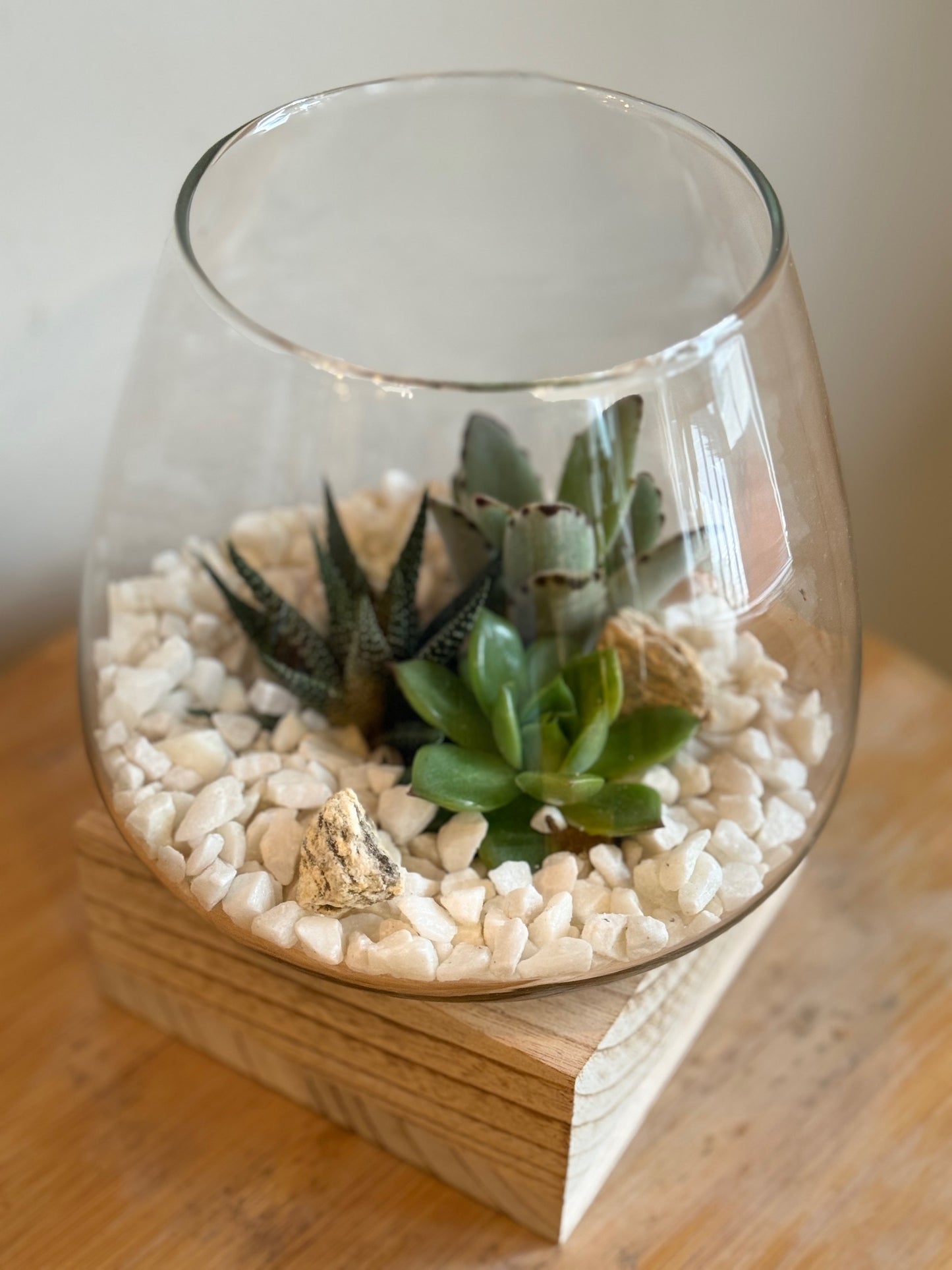 Wood Base Succulent Terrarium