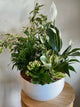 Extra Large Mixed Sympathy Planter