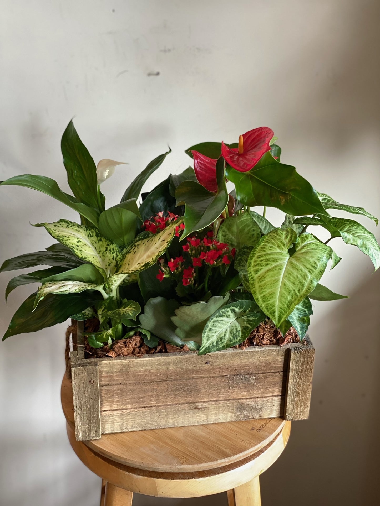 Rustic Wood Box Planter with Tropical Plants