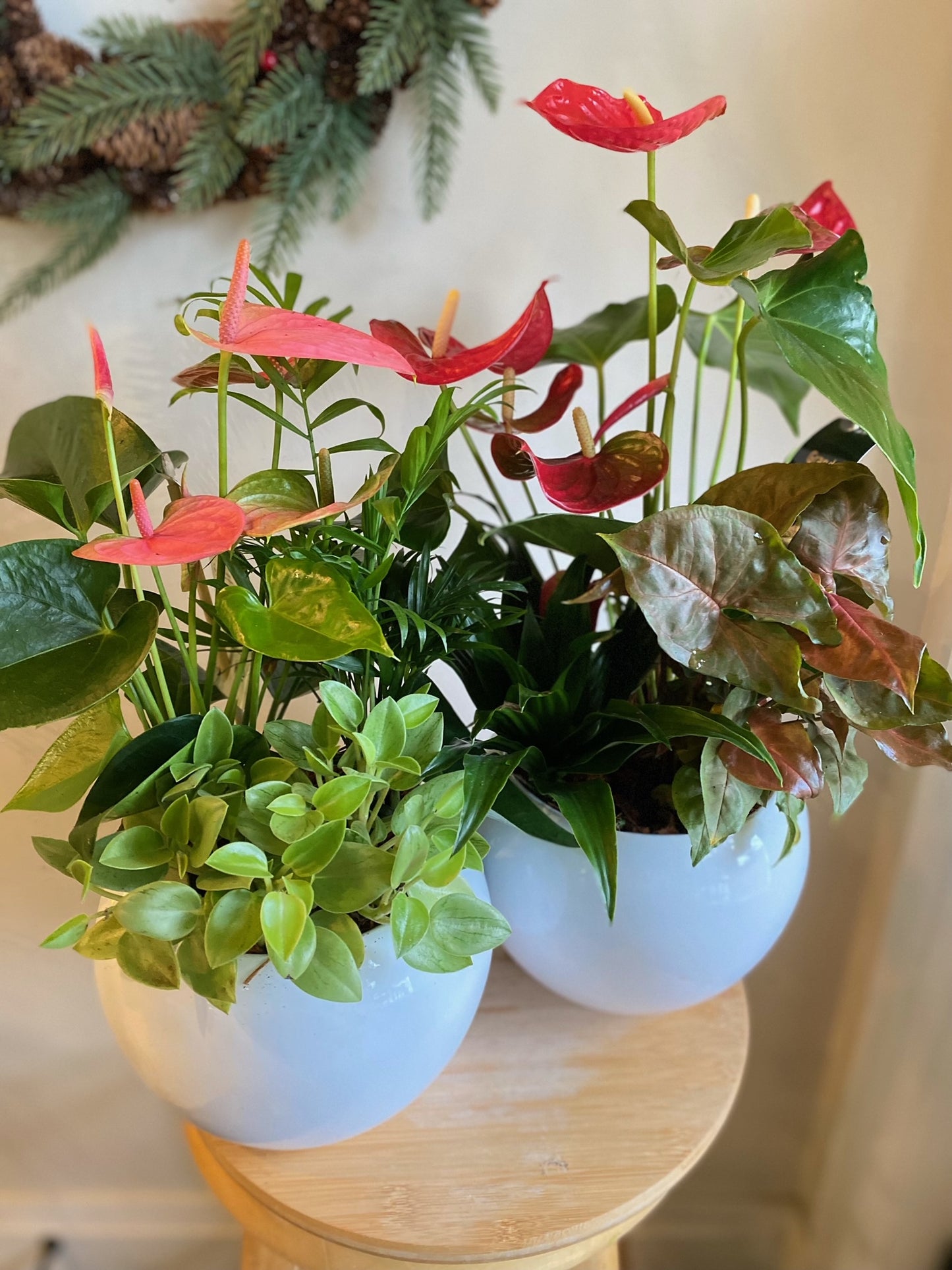 Medium Round Indoor Garden Planter
