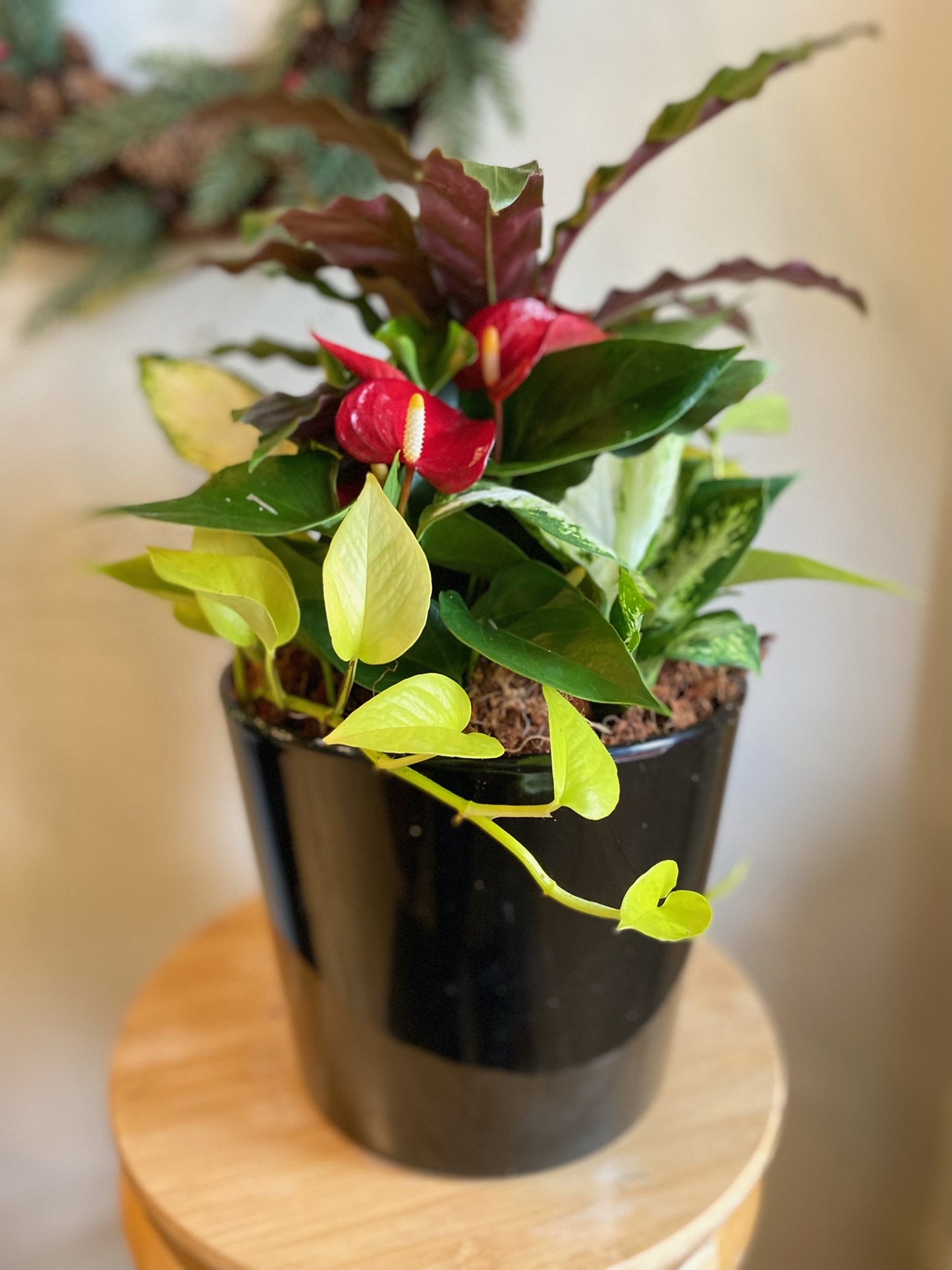 Large Modern Black Indoor Garden Planter