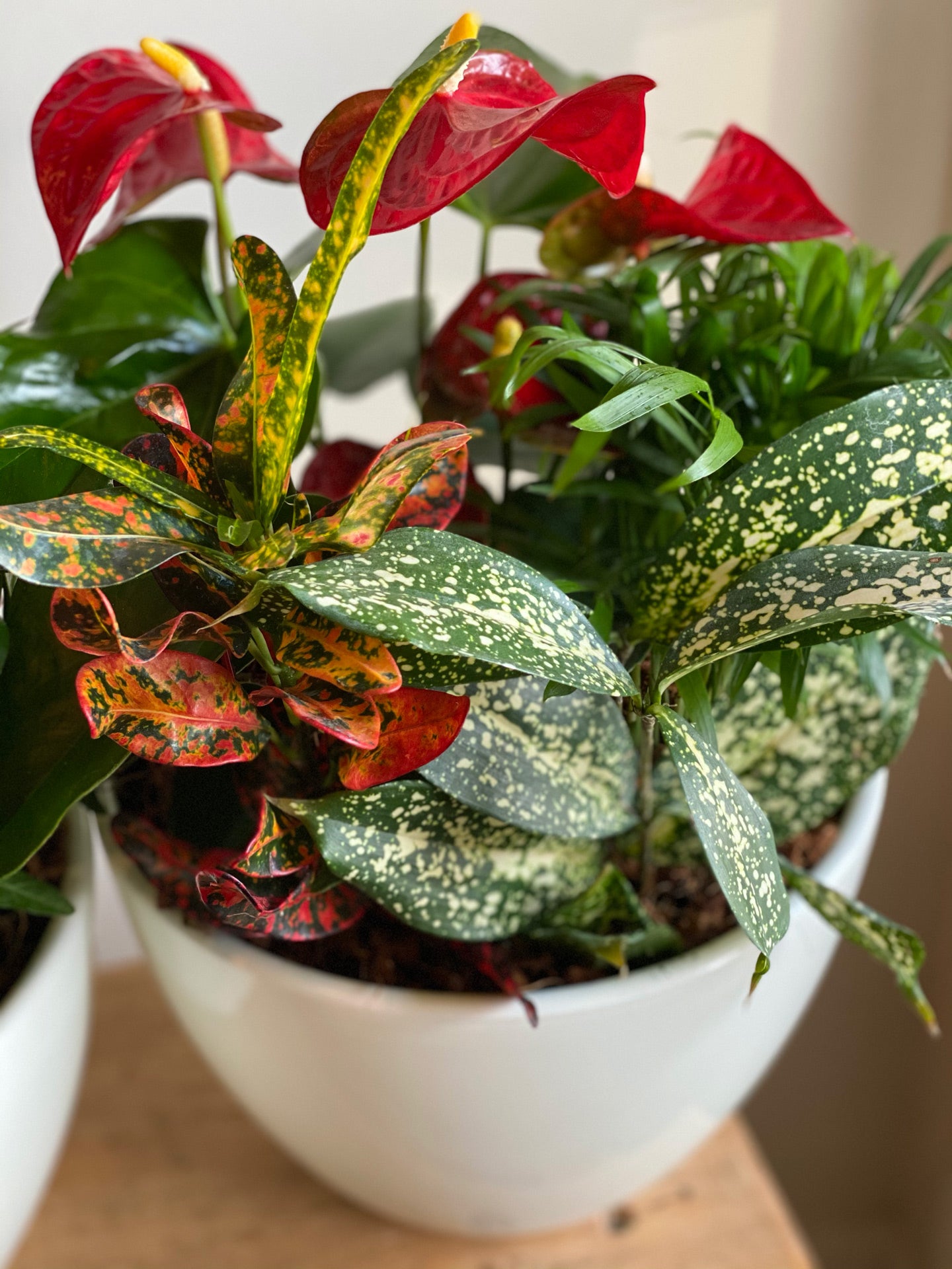 Large Round Indoor Garden Planter