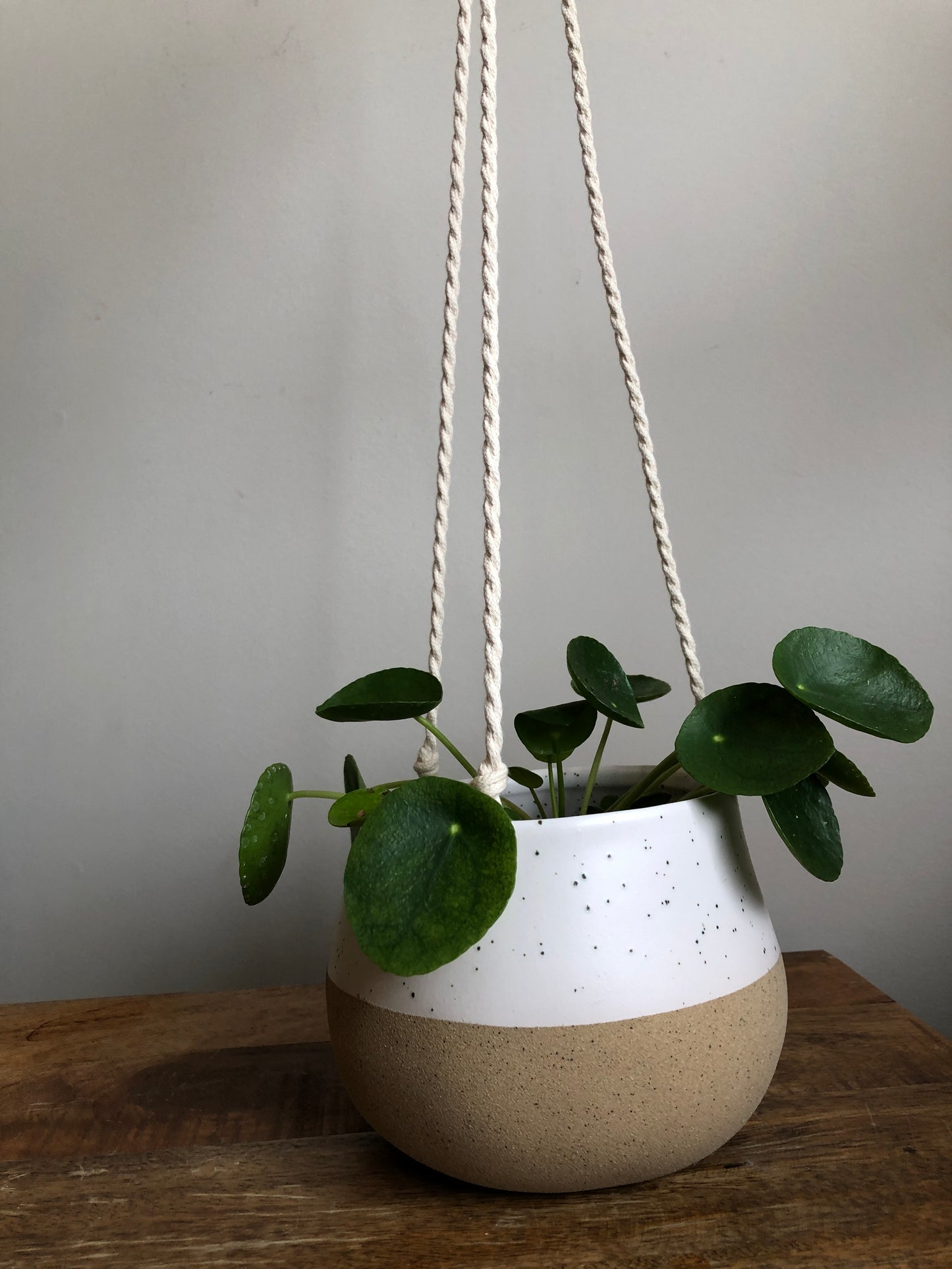 Hanging Ceramic Pot