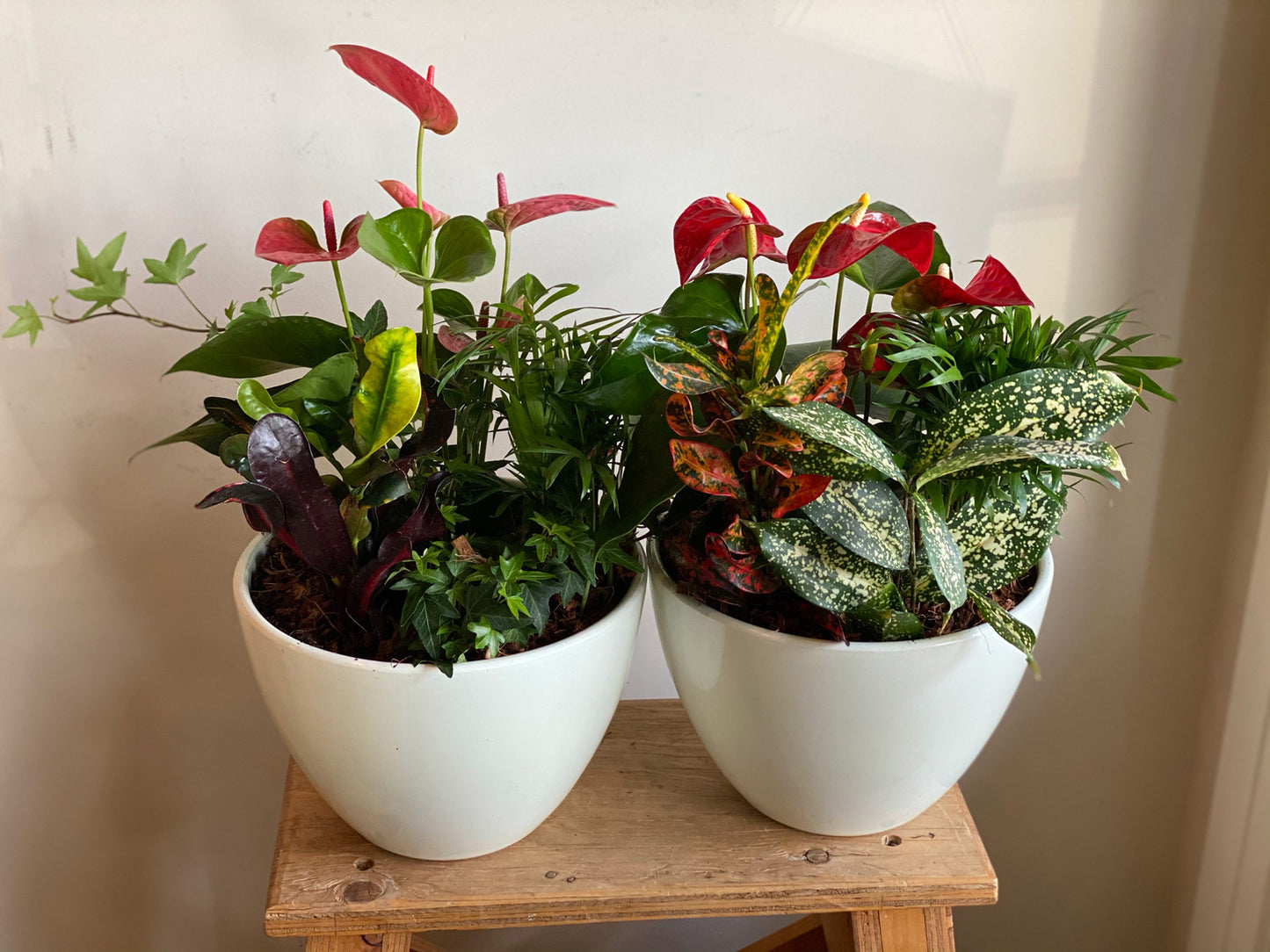 Large Round Indoor Garden Planter