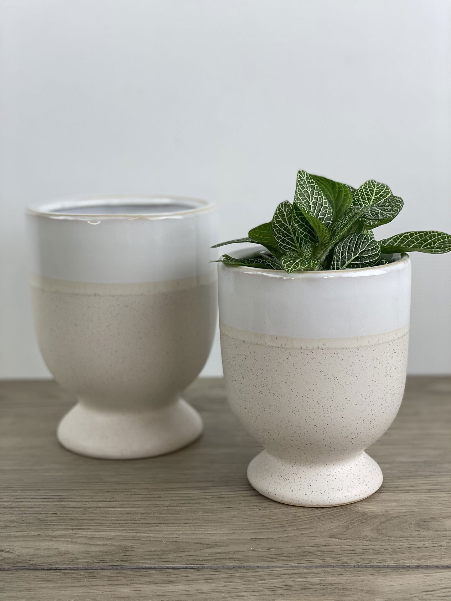 Laney Pot