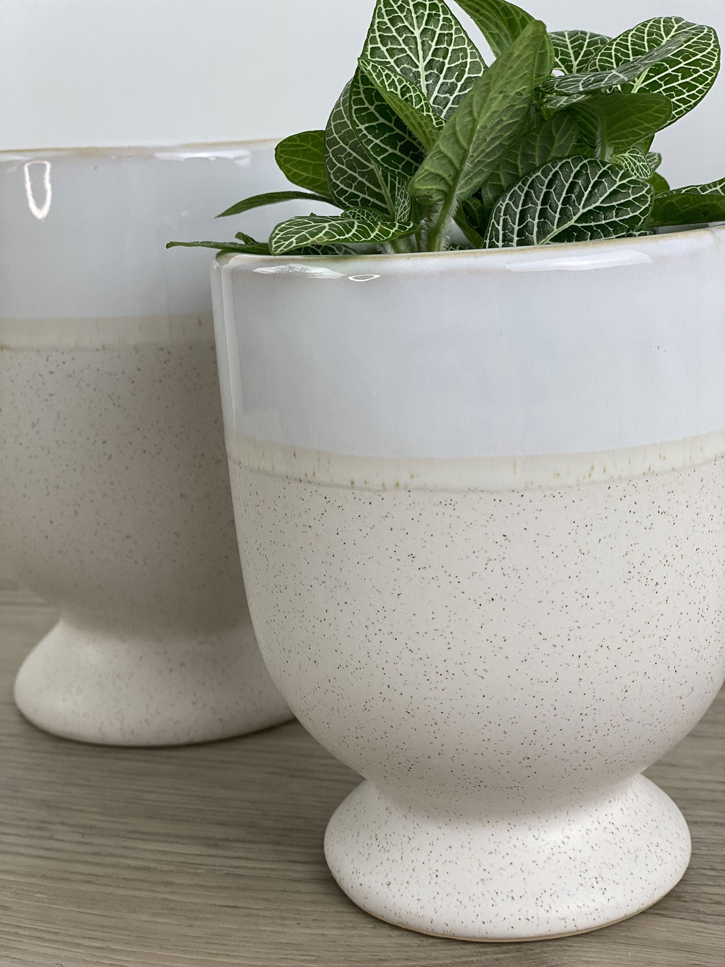 Laney Pot
