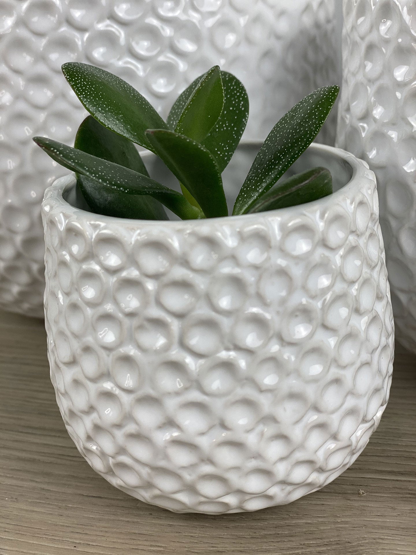 Ginny Pot