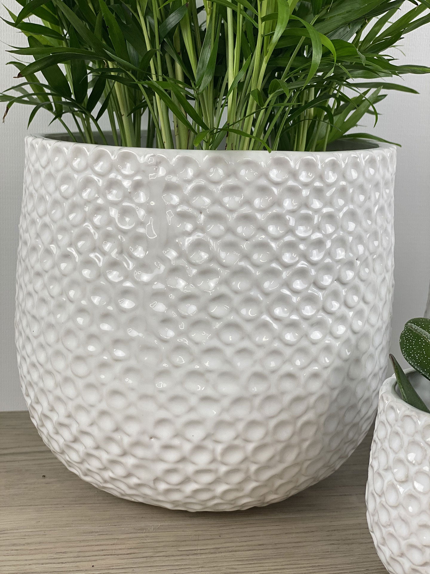 Ginny Pot