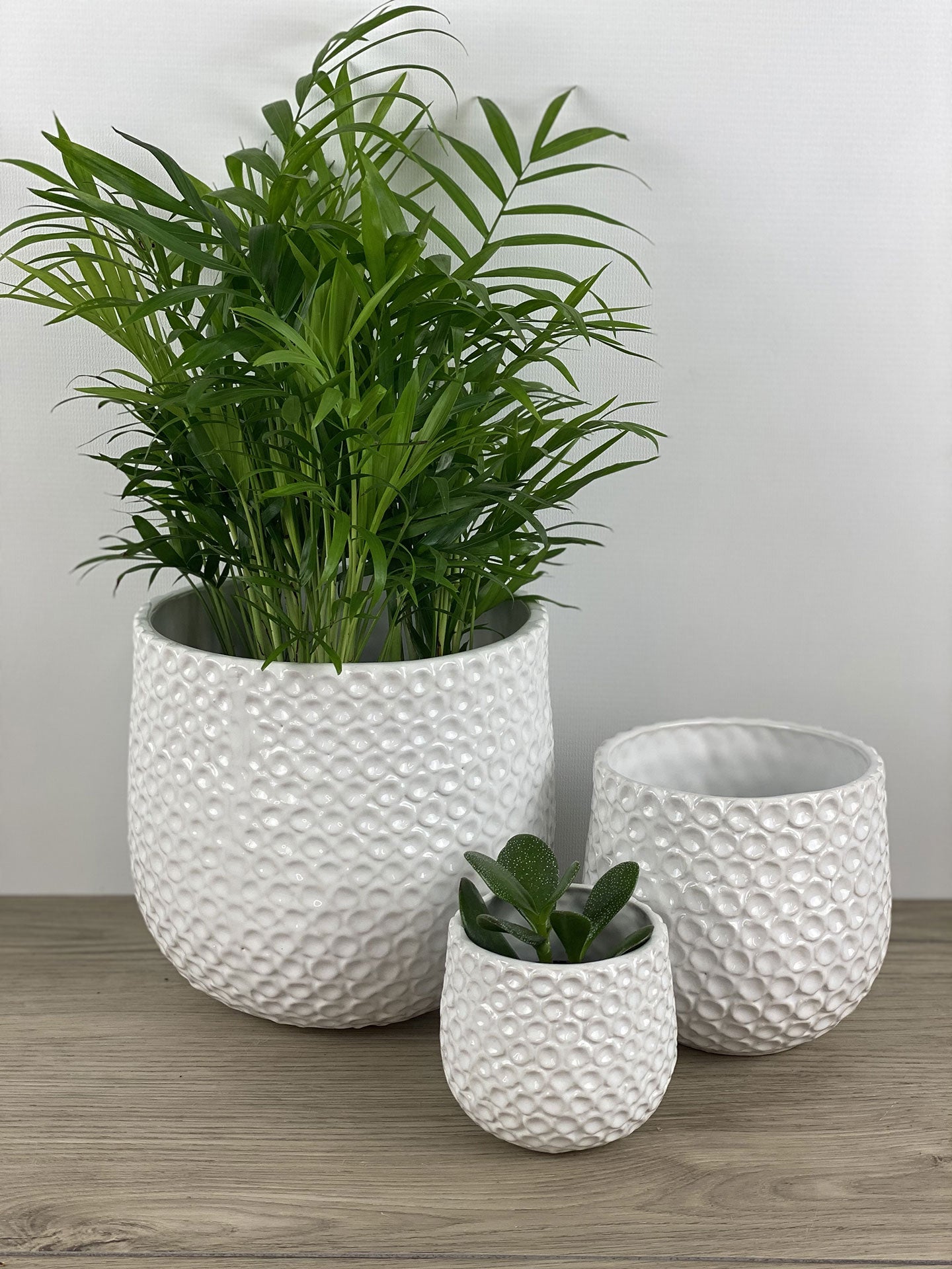 Ginny Pot