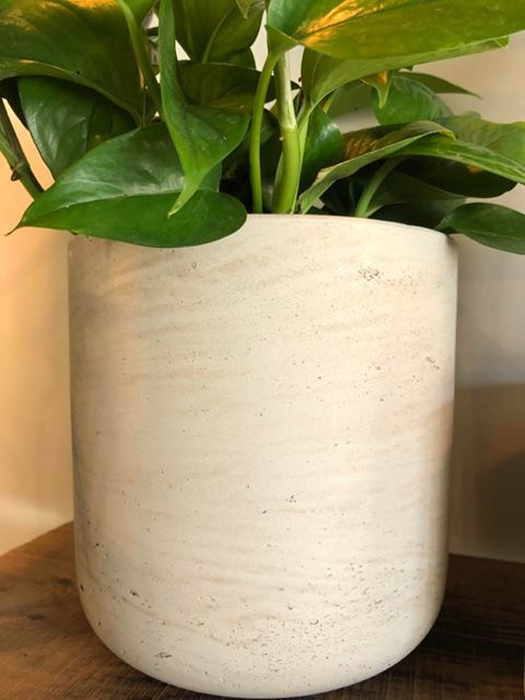 Cement Pot