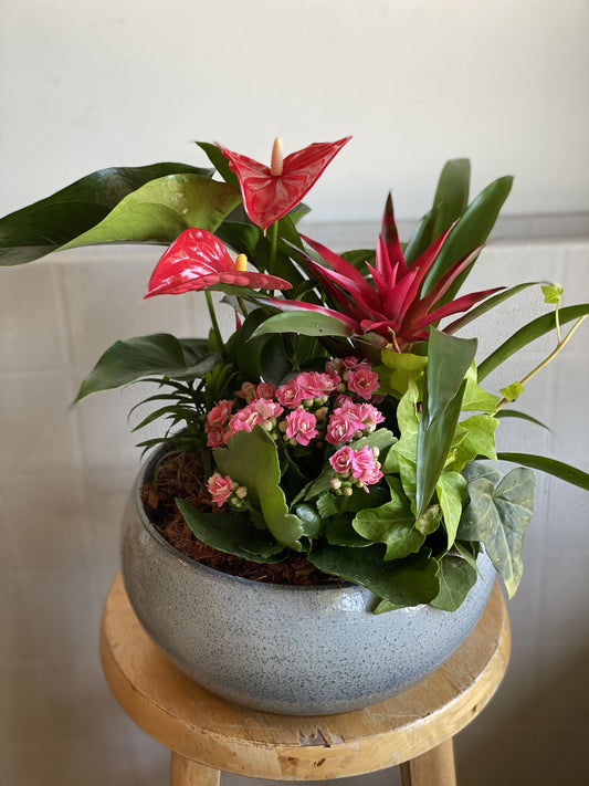 Extra Large Tropical Container Garden