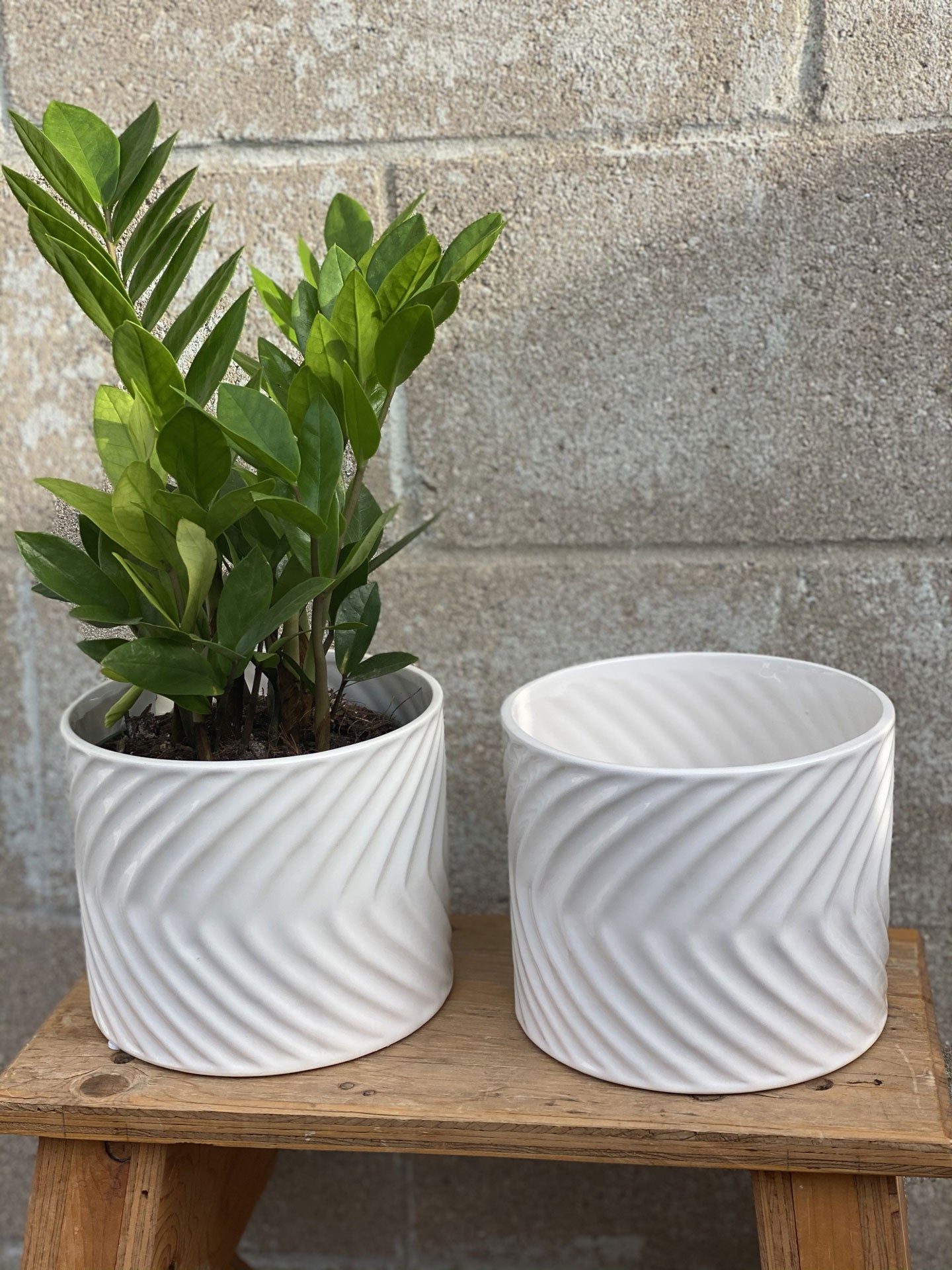 6" White Herringbone Pot