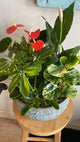 Large Indoor Garden Planter