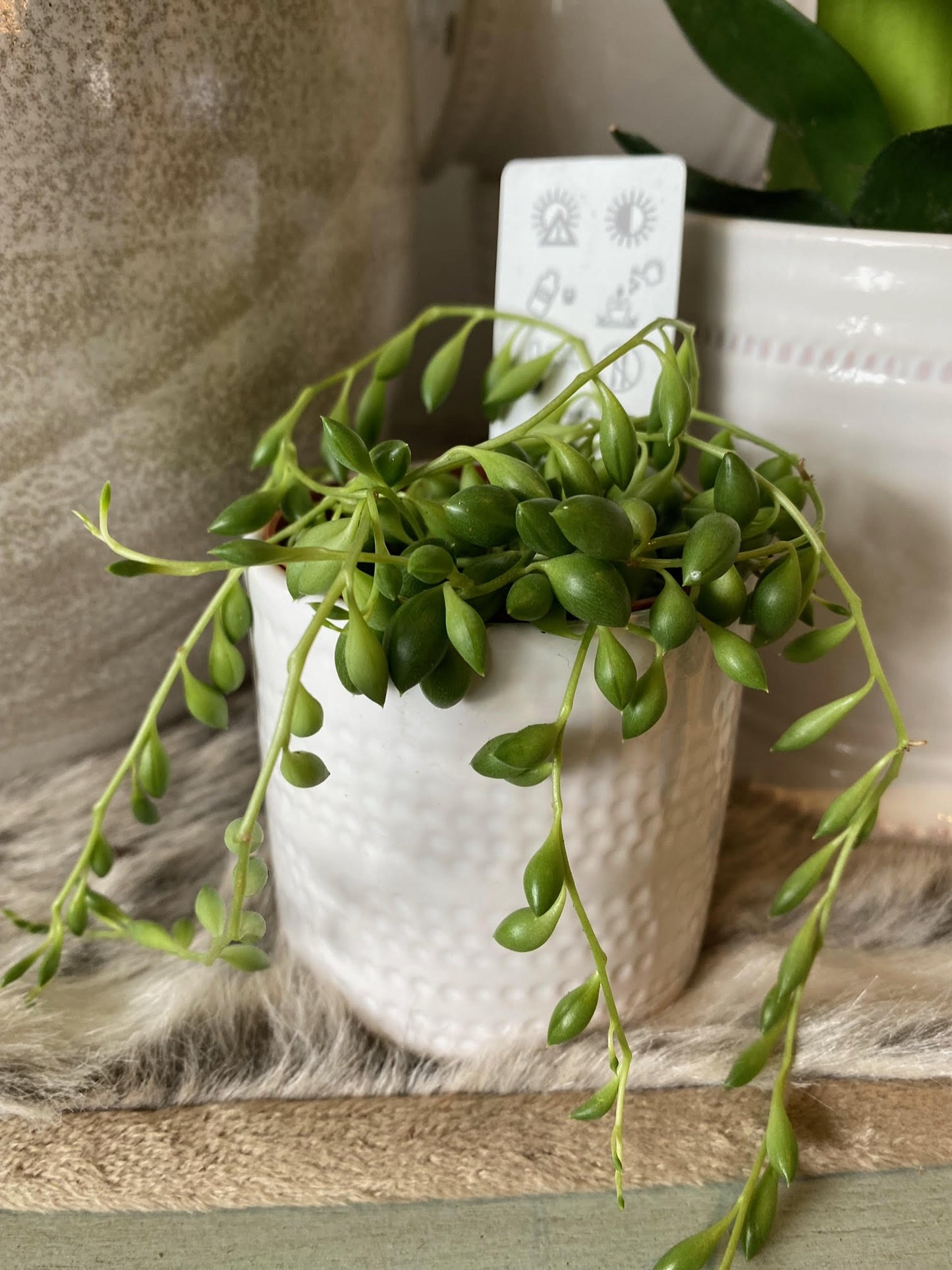 String of Beads in White Ceramic Pot