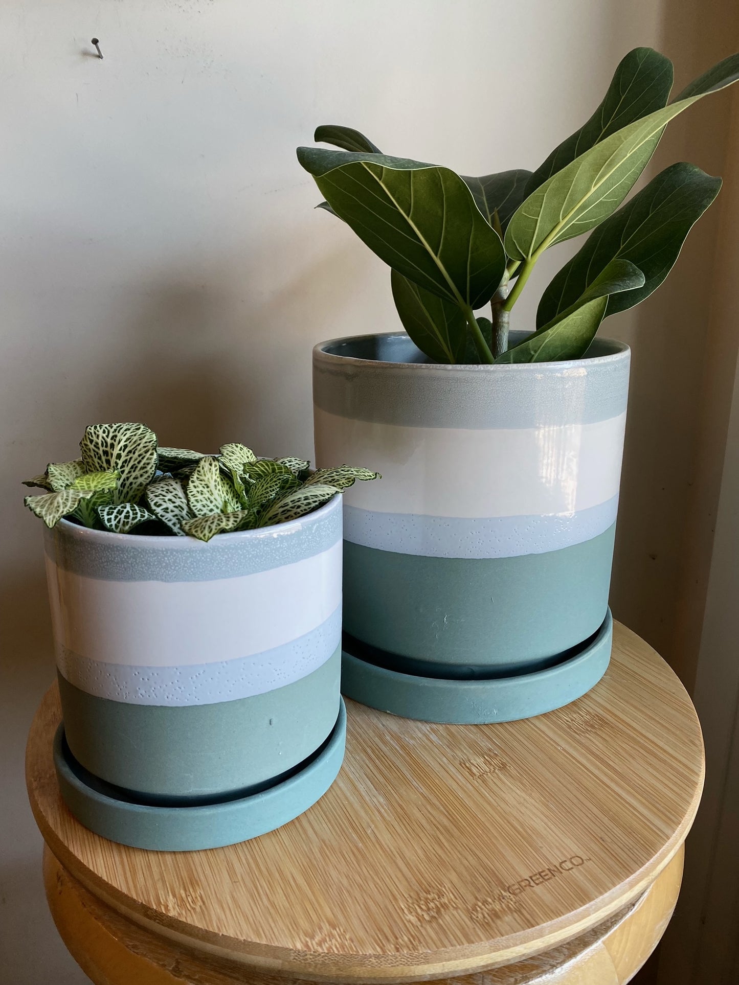 Greer Pot