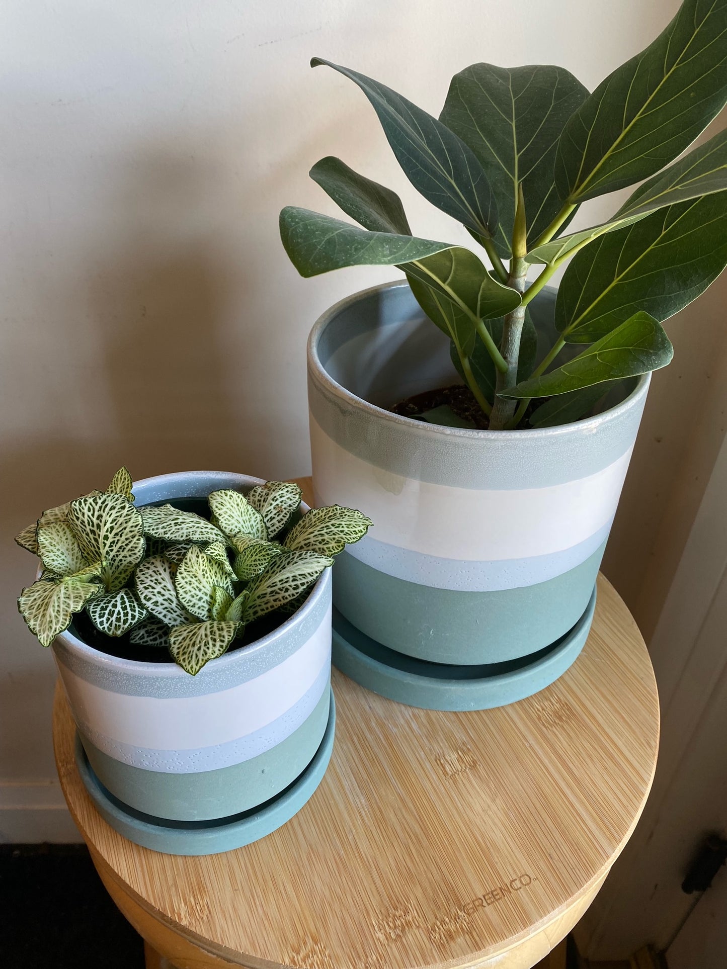 Greer Pot