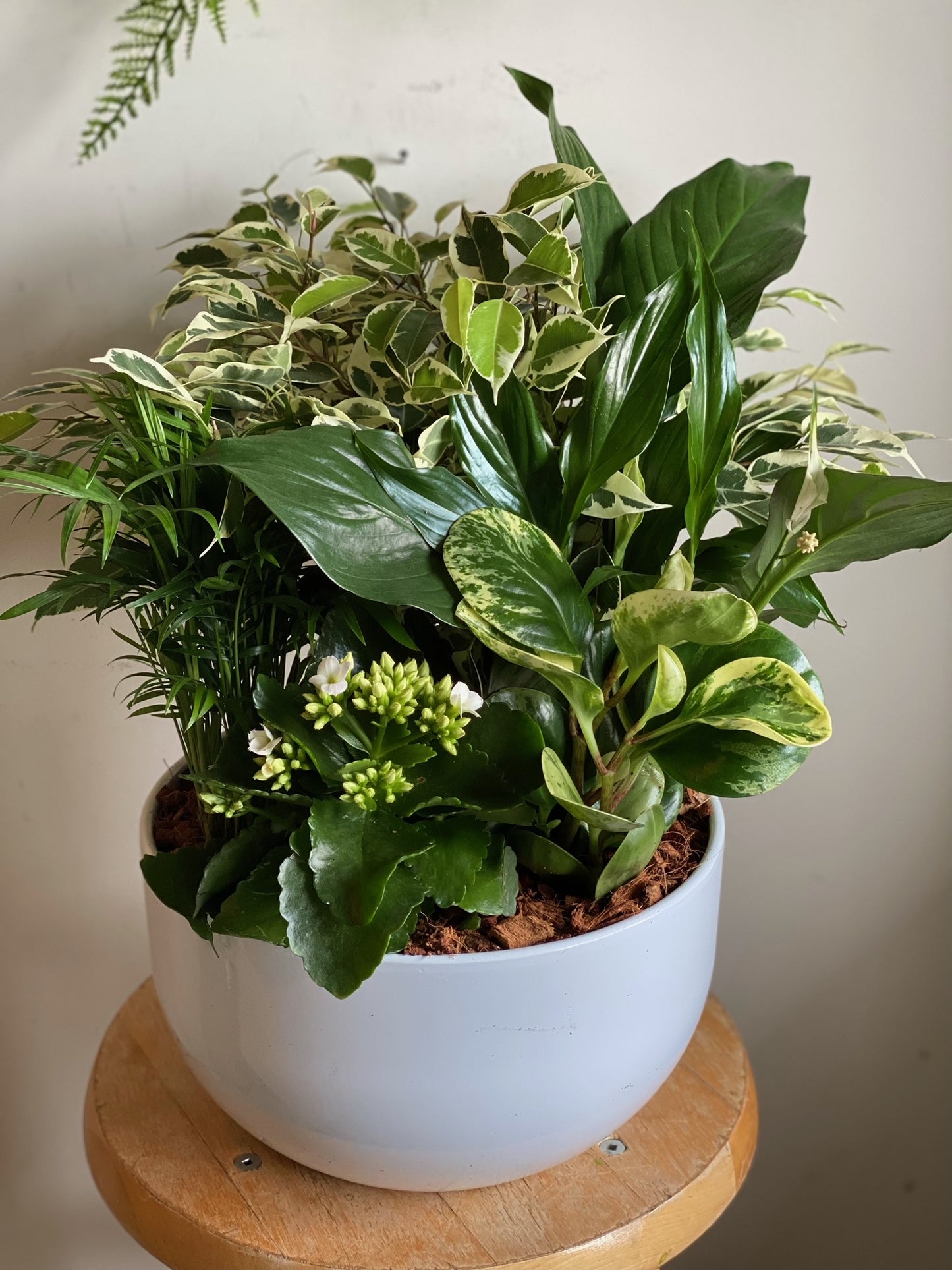 Large Sympathy Planter