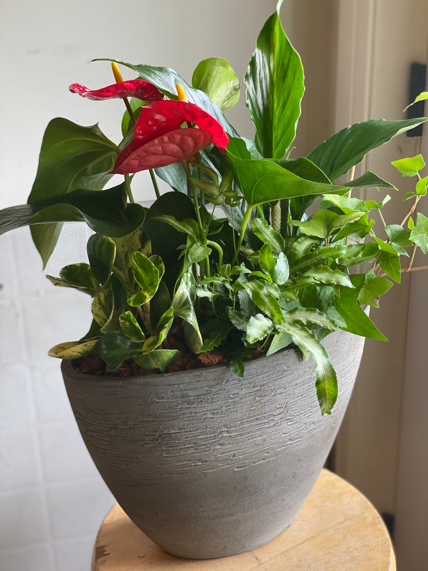 Extra Large Indoor Garden Planter