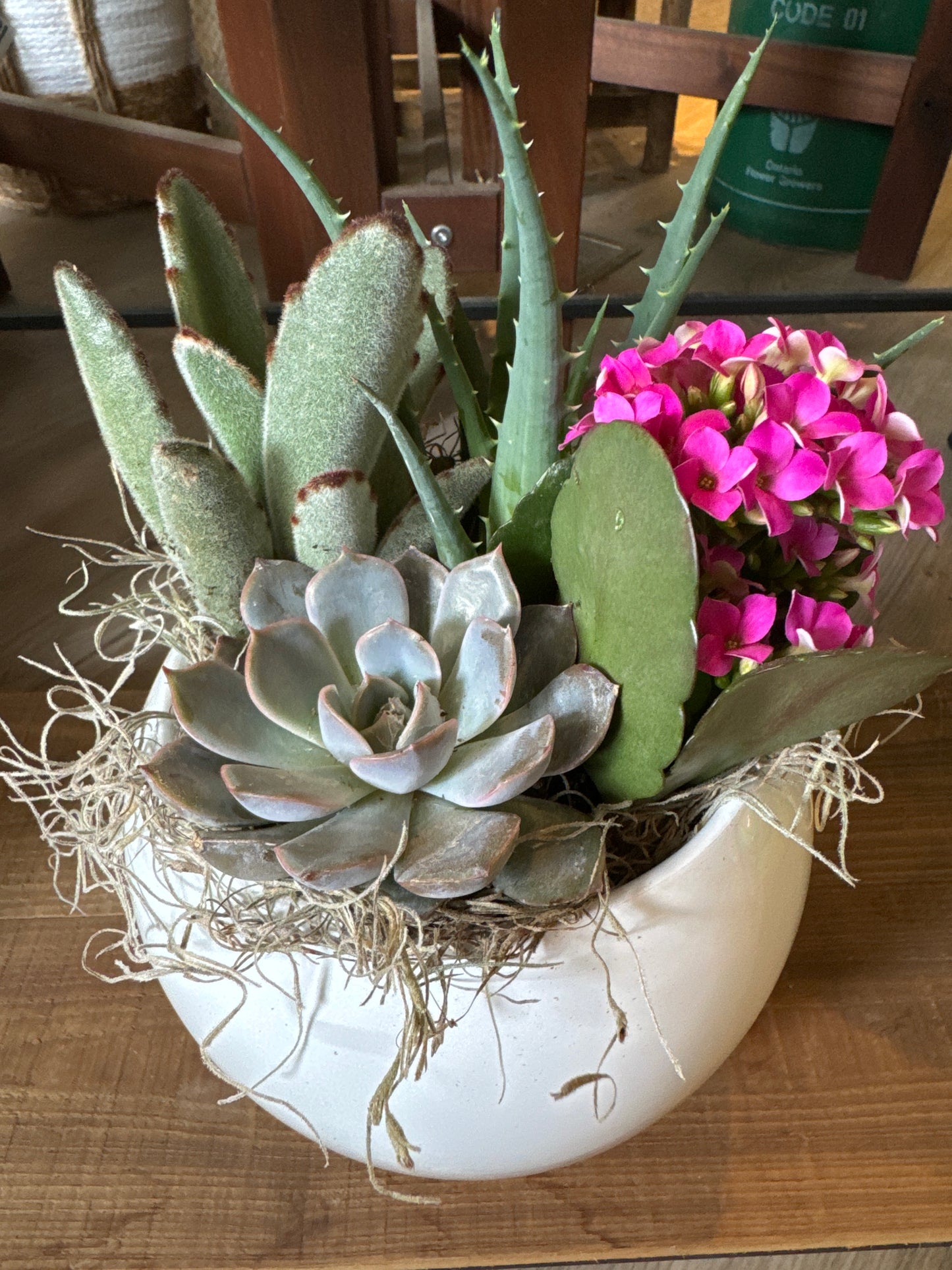 Succulent Planter