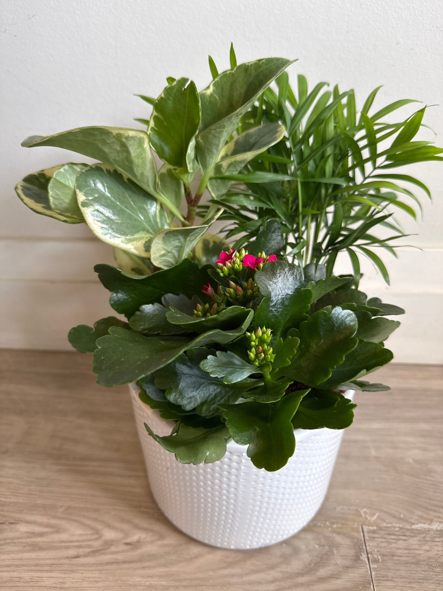 Small Indoor Planter