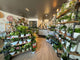 Indoor Planter