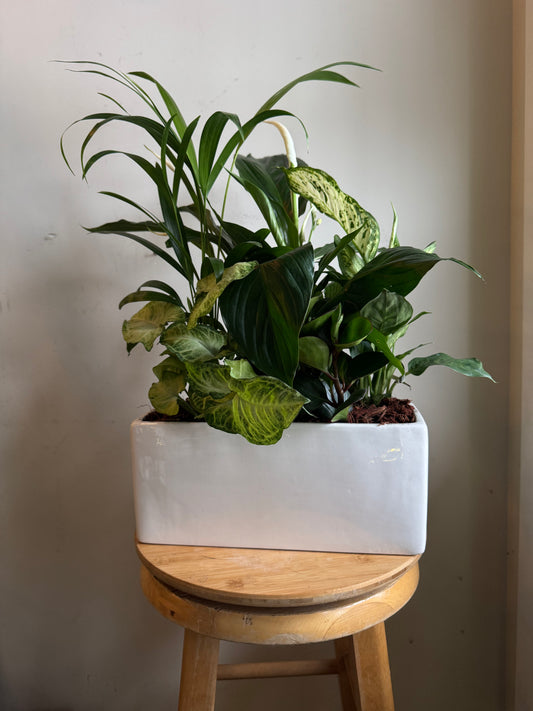 Large Tropical Mixed Planter in White and Geometric Pot