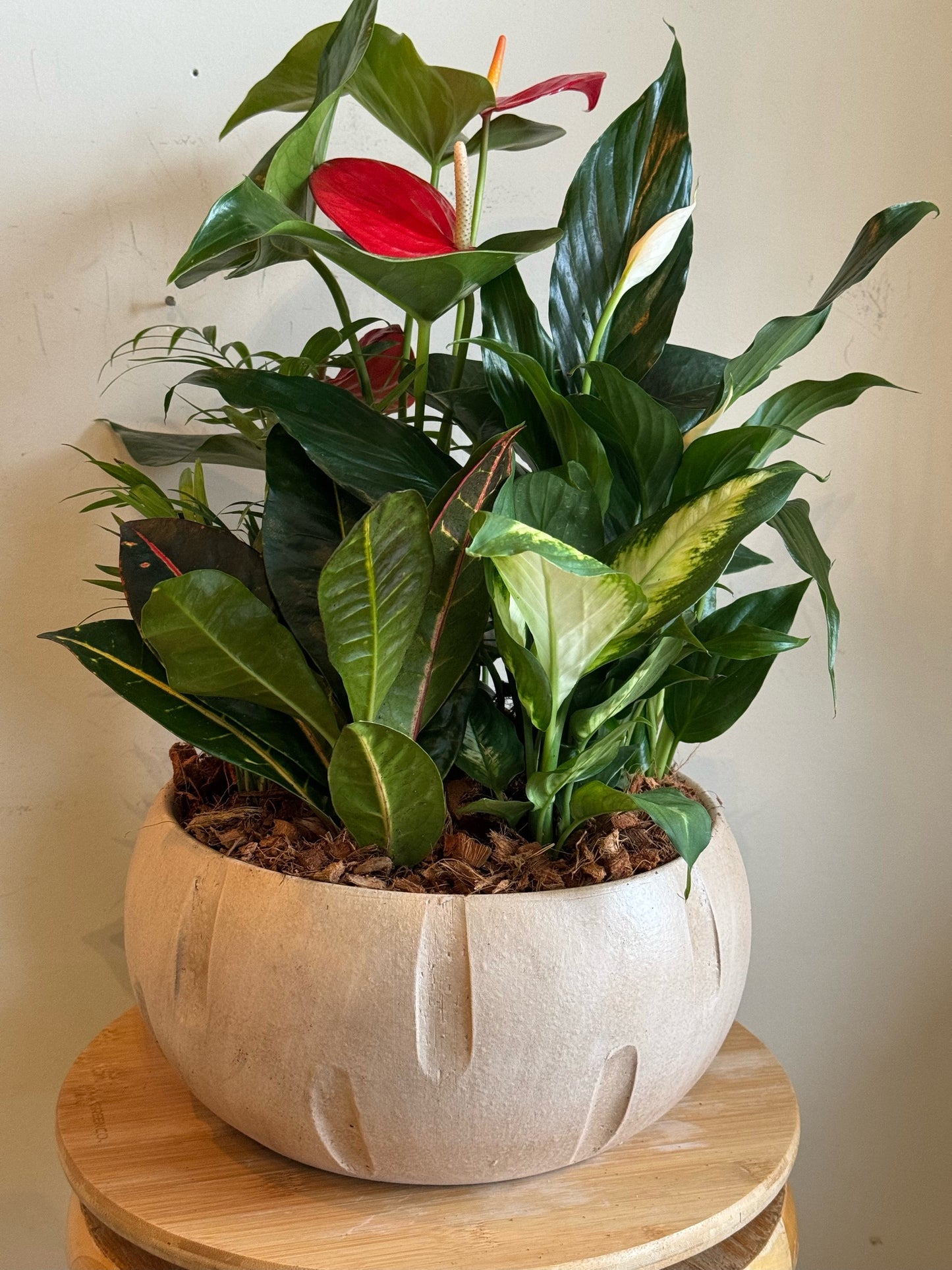Large Mixed Planter in Decorative Bowl