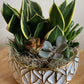 Succulent Planter