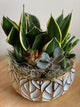 Succulent Planter
