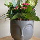 Grey Face Pot Planter