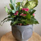 Grey Face Pot Planter