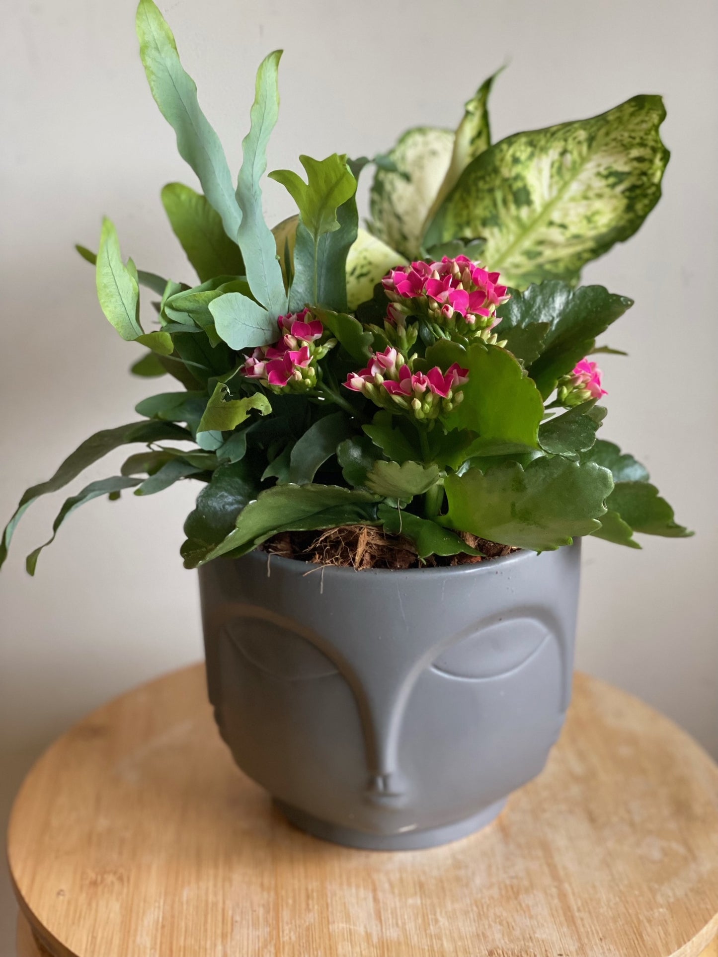 Grey Face Pot Planter