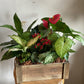 Rustic Wood Box Planter with Tropical Plants