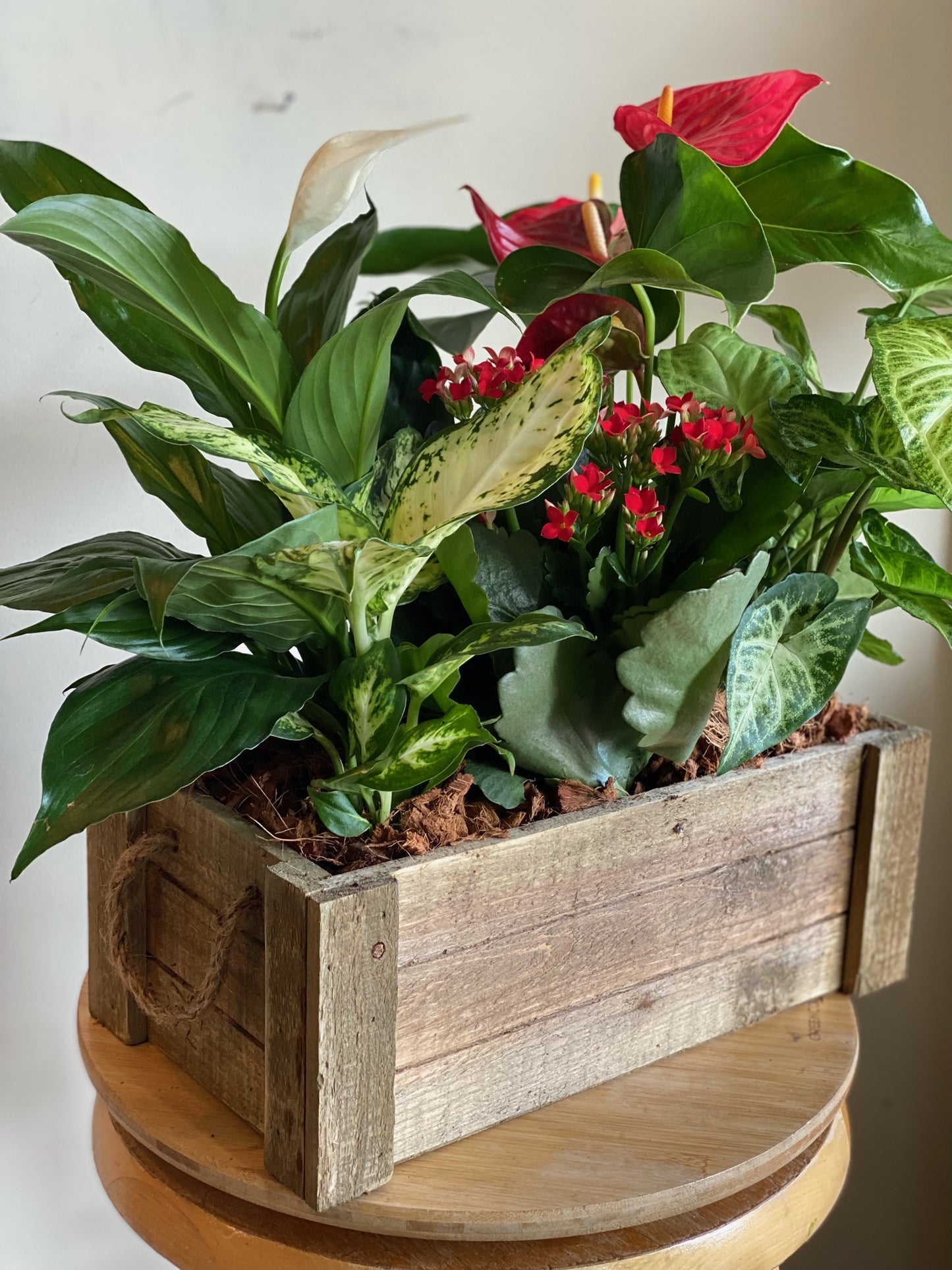 Rustic Wood Box Planter with Tropical Plants