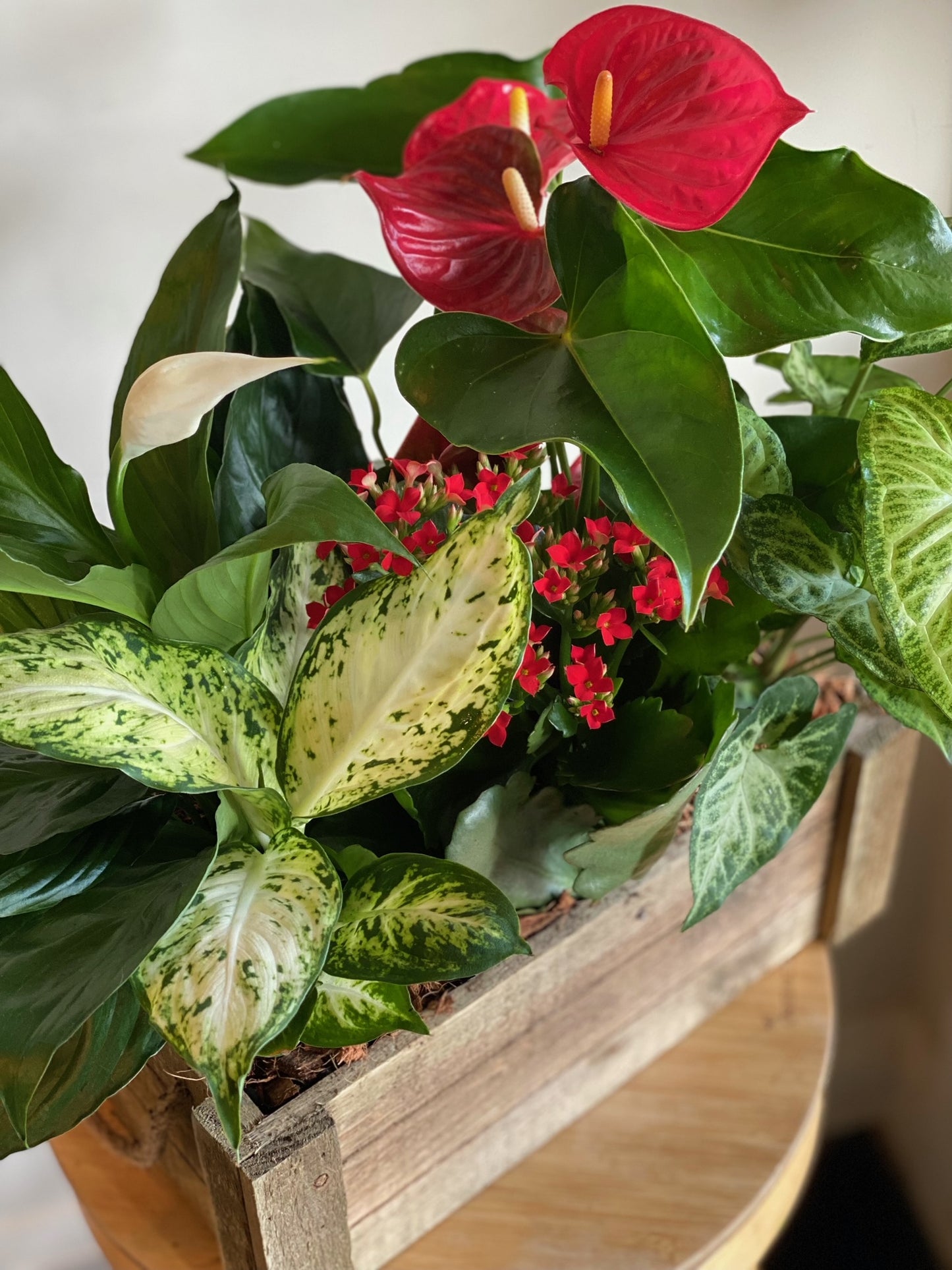 Rustic Wood Box Planter with Tropical Plants