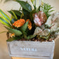 Nature Wood Box Planter with Tropical Plants