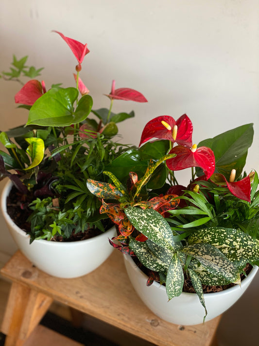 Large Round Indoor Garden Planter