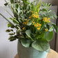 Tropical Container Garden