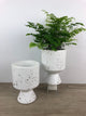 Splash Pot