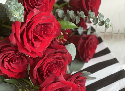 Dozen Luxury Red Roses (Wrapped)