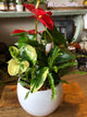 Small Round Indoor Garden Planter
