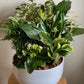 Large Sympathy Planter